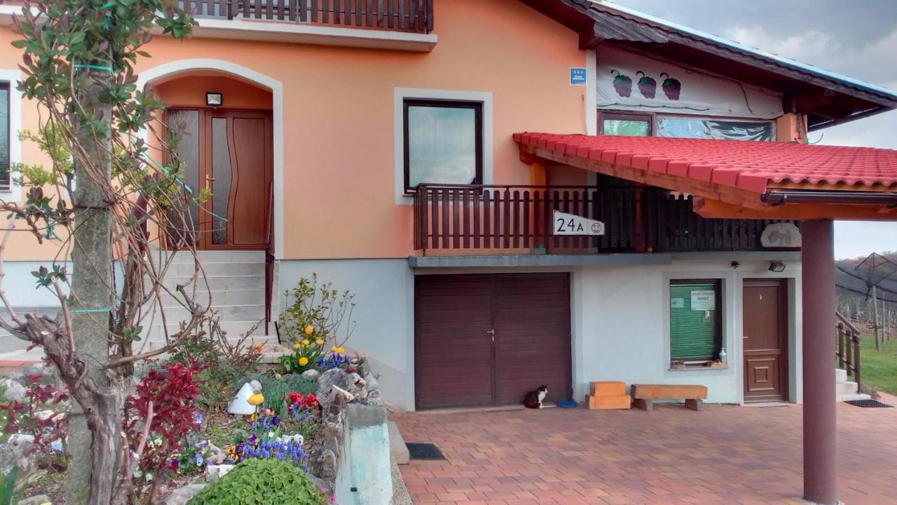 סבטי מרטין נה מורי Studio Apartman Safaric מראה חיצוני תמונה