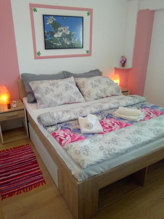 סבטי מרטין נה מורי Studio Apartman Safaric מראה חיצוני תמונה